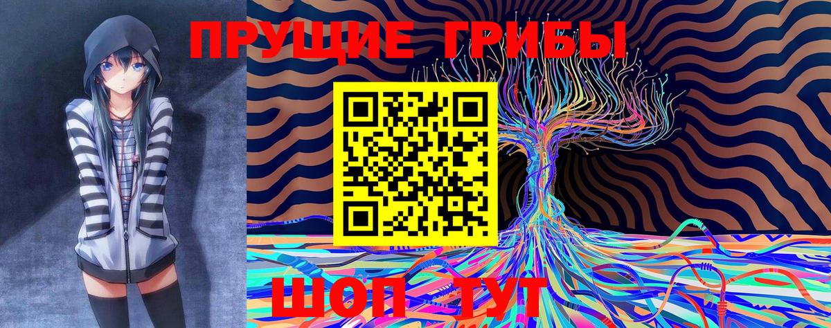 Назарово  Псилоцибиновые грибы Psilocybe  Вход с VPN  закладка  Галлюциногенные грибы Magic Shrooms 